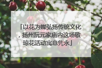 以花为媒弘扬传统文化，扬州阮元家庙内这场敬琼花活动寓意隽永