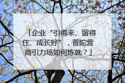 企业“引得来、留得住、成长好”，普陀营商引力场如何炼就？