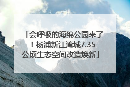 会呼吸的海绵公园来了！杨浦新江湾城7.35公顷生态空间改造焕新