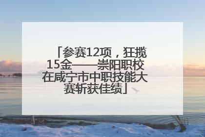 参赛12项，狂揽15金——崇阳职校在咸宁市中职技能大赛斩获佳绩