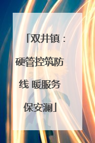 双井镇：硬管控筑防线 暖服务保安澜