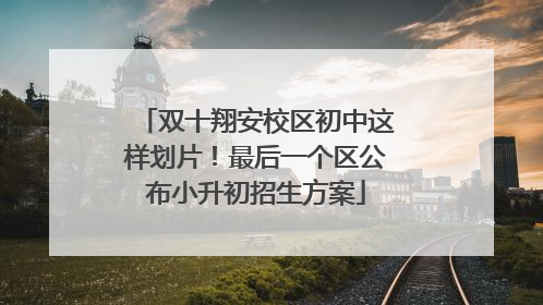 双十翔安校区初中这样划片！最后一个区公布小升初招生方案