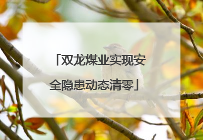 双龙煤业实现安全隐患动态清零