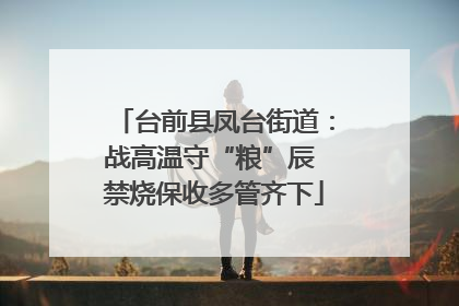 台前县凤台街道：战高温守“粮”辰 禁烧保收多管齐下