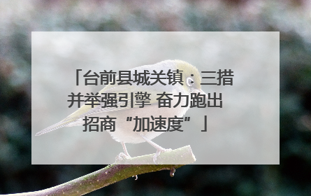 台前县城关镇：三措并举强引擎 奋力跑出招商“加速度”