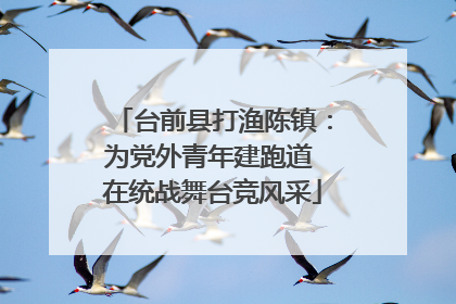 台前县打渔陈镇：为党外青年建跑道 在统战舞台竞风采