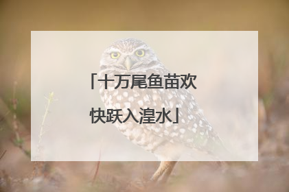 十万尾鱼苗欢快跃入湟水