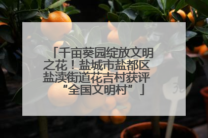 千亩葵园绽放文明之花！盐城市盐都区盐渎街道花吉村获评“全国文明村”