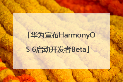 华为宣布HarmonyOS 6启动开发者Beta