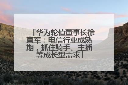 华为轮值董事长徐直军：电信行业成熟期，抓住骑手、主播等成长型需求