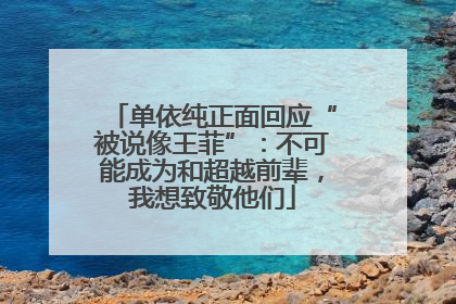 单依纯正面回应“被说像王菲”：不可能成为和超越前辈，我想致敬他们