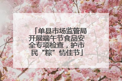 单县市场监管局开展端午节食品安全专项检查，护市民“粽”情佳节