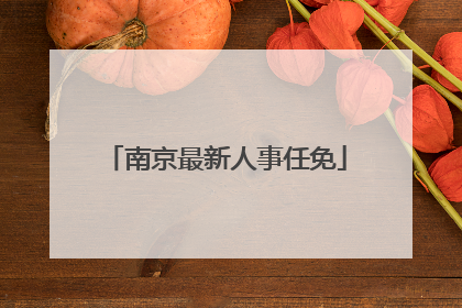 南京最新人事任免