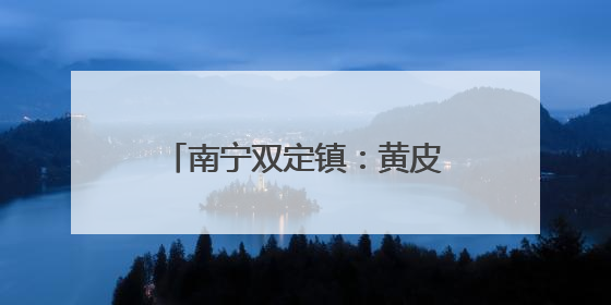 南宁双定镇：黄皮果变“黄金果”