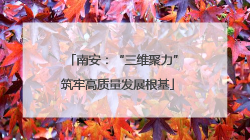 南安：“三维聚力”筑牢高质量发展根基