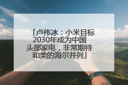 卢伟冰：小米目标2030年成为中国头部家电，非常期待和美的海尔并列