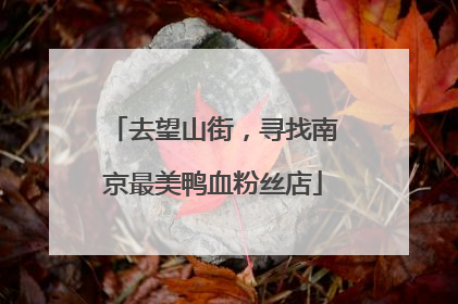 去望山街，寻找南京最美鸭血粉丝店