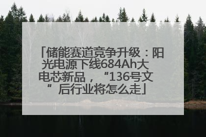 储能赛道竞争升级：阳光电源下线684Ah大电芯新品，“136号文”后行业将怎么走