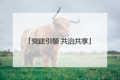 党建引领 共治共享