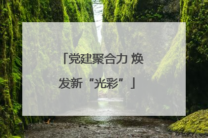 党建聚合力 焕发新“光彩”