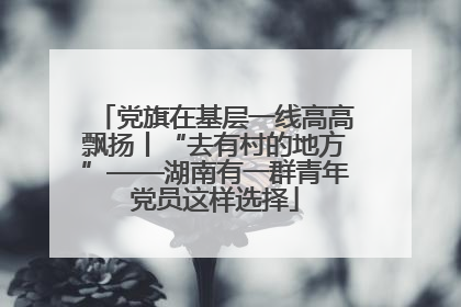 党旗在基层一线高高飘扬丨“去有村的地方”——湖南有一群青年党员这样选择