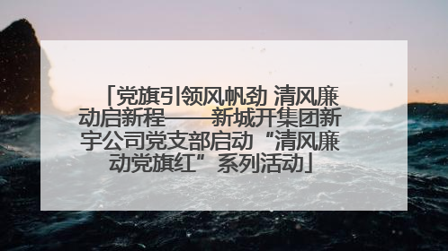 党旗引领风帆劲 清风廉动启新程——新城开集团新宇公司党支部启动“清风廉动党旗红”系列活动