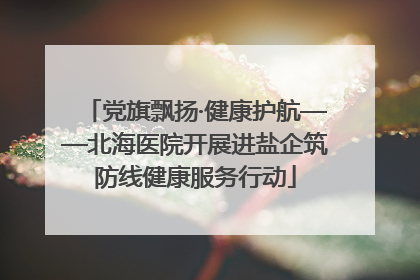 党旗飘扬·健康护航——北海医院开展进盐企筑防线健康服务行动