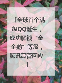 全球首个满级QQ诞生，成功解锁“金企鹅”等级，腾讯高管回应