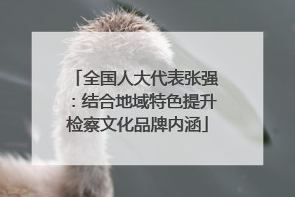 全国人大代表张强：结合地域特色提升检察文化品牌内涵