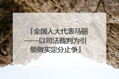 全国人大代表马丽——以司法裁判为引领做实定分止争
