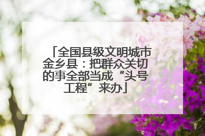全国县级文明城市金乡县：把群众关切的事全部当成“头号工程”来办