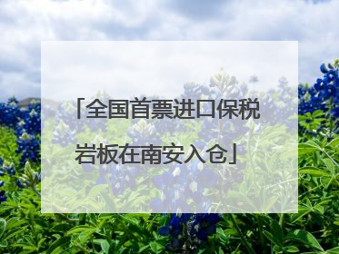 全国首票进口保税岩板在南安入仓