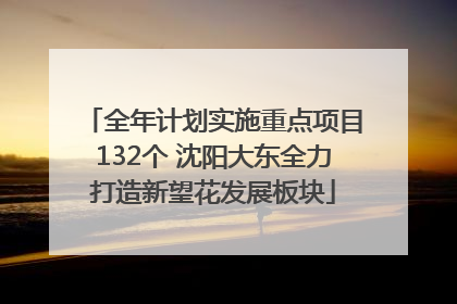全年计划实施重点项目132个 沈阳大东全力打造新望花发展板块