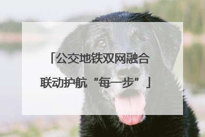 公交地铁双网融合 联动护航“每一步”
