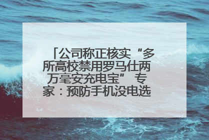 公司称正核实“多所高校禁用罗马仕两万毫安充电宝” 专家：预防手机没电选中等体积产品即可