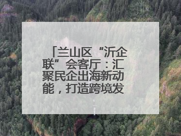兰山区“沂企联”会客厅：汇聚民企出海新动能，打造跨境发展“强磁场”
