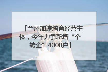 兰州加速培育经营主体，今年力争新增“个转企”4000户
