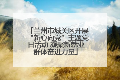 兰州市城关区开展“新心向党”主题党日活动 凝聚新就业群体奋进力量