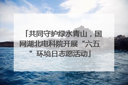 共同守护绿水青山，国网湖北电科院开展“六五”环境日志愿活动