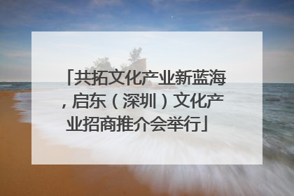 共拓文化产业新蓝海，启东（深圳）文化产业招商推介会举行