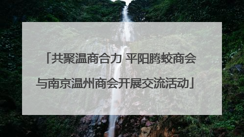 共聚温商合力 平阳腾蛟商会与南京温州商会开展交流活动