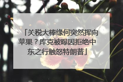 关税大棒缘何突然挥向苹果？库克被曝因拒绝中东之行触怒特朗普