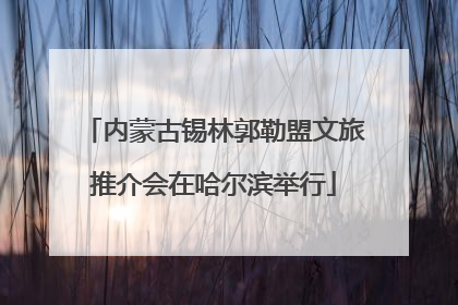 内蒙古锡林郭勒盟文旅推介会在哈尔滨举行
