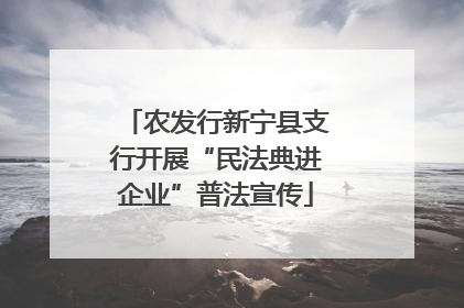 农发行新宁县支行开展“民法典进企业”普法宣传