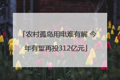 农村孤岛用电难有解 今年有望再投312亿元