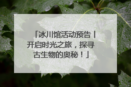 冰川馆活动预告丨开启时光之旅，探寻古生物的奥秘！