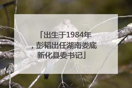 出生于1984年，彭韬出任湖南娄底新化县委书记
