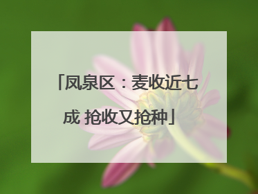 凤泉区：麦收近七成 抢收又抢种
