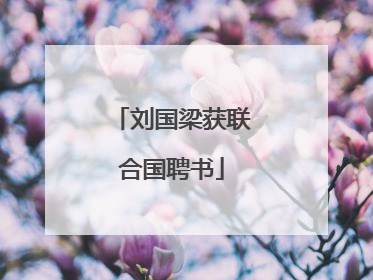 刘国梁获联合国聘书