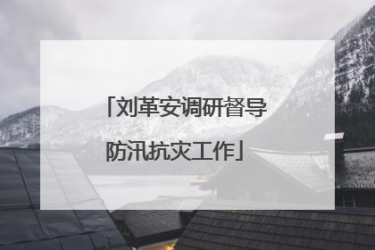 刘革安调研督导防汛抗灾工作